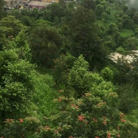 Valley View Family Unit Kasauli Exterior foto