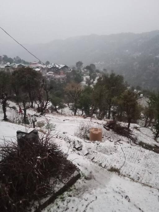 Valley View Family Unit Kasauli Exterior foto